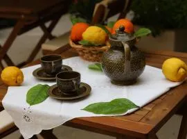 菲奥里艾丽莫妮酒店