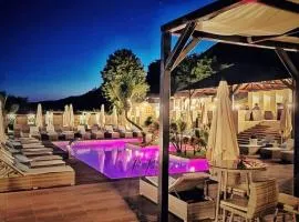 Pensiunea Alexandra & SPA