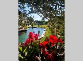 Provence chic, piscine naturelle, détente spa - jacuzzi pour 2