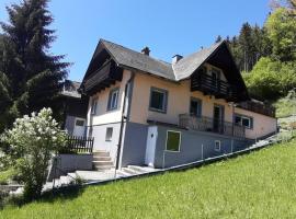 Haus Pinter in Schladming - Dachstein Region，位于普鲁格恩的酒店