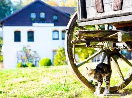 Ferienwohnung im Erzgebirge