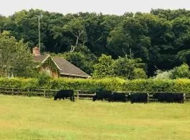 Yellowham Farm, Dorchester