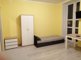 Apartament Stanisławskiego，位于沃维奇的酒店