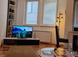 Apartman Veselinovic Free PARKING