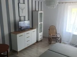 Niemodlińska 11 m 2