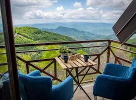 Apartments View Dvori E25