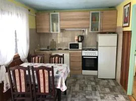 Apartment in Zdrelac with balcony, air conditioning, WiFi, washing machine 4834-1