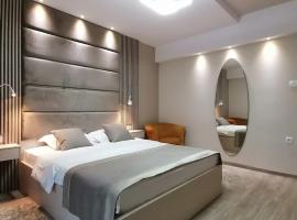 Hotel Holiday，位于波德戈里察的酒店