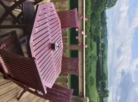 la cabane des druides