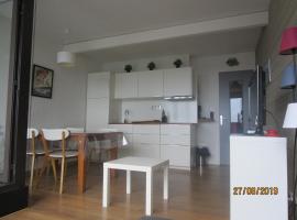 Appartement les Myrtilles à Super Besse au pied des pistes，位于苏佩贝斯勒布瓦杜鲁普缆车附近的酒店