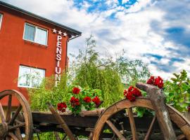 PENSIUNEA ȘAPTE，位于克卢日-纳波卡的酒店