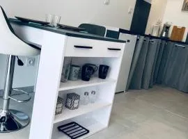 L'Anthracite - Vue Pyrénées et Parking facile