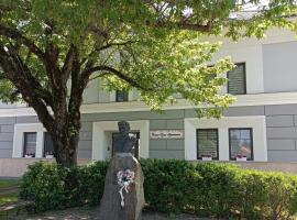 Corso Lux Apartman，位于久洛的自助式住宿