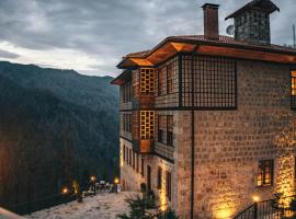 DUDİ KONAK HOTEL，位于里泽的酒店
