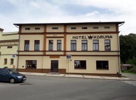 Hotel Koruna penzion，位于梅图耶河畔特普利采的低价酒店