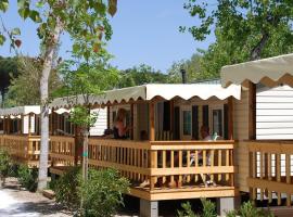 Chalet 4 or 6 persons Toscana Viareggio Camping Bosco Verde Italië，位于托雷德尔格拉戈普奇的酒店