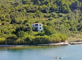 Apartment in Pašman with Seaview, Balcony, Air condition, WIFI (4663-4)