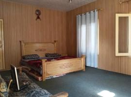 Dumani Mountain Resort，位于Nagir的酒店