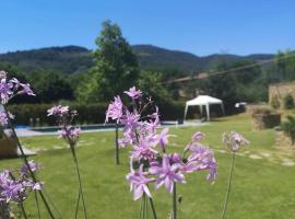 Alba Morus Bed e Breakfast sentiti a casa nel cuore della Toscana，位于阿雷佐的度假短租房