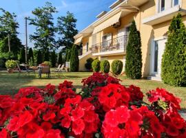 Sevi's Luxury Guesthouse Villa，位于约阿尼纳的酒店