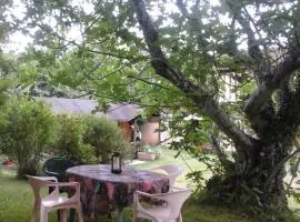 Gîte l'appel de la Forêt