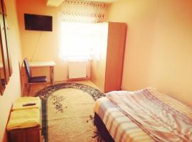 Pensiunea Selena，位于胡埃丁的酒店