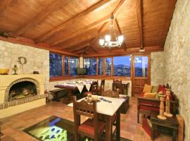 阿宏提科科洛科特洛尼旅馆，位于斯特姆尼察的宠物友好酒店