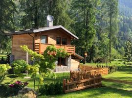 I Larici Camping Lodge，位于奥萨纳的酒店