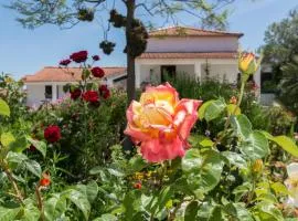 Quinta de São Pedro