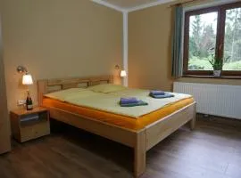 Pension Aspen Harrachov