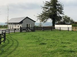 The Lodge - Rural Tipperary bordering Kilkenny，位于Ballingarry的酒店