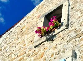 Ruine-Motovun KH