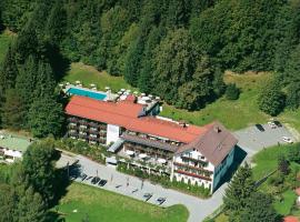 巴伐利亚酒店，位于茨维泽尔的酒店