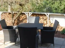 Wohnung mit Kamin Terrasse und Grill in der Nähe von Nürnberg