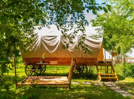 Dragonfly Gardens - The Wagons，位于布拉索夫的豪华帐篷营地