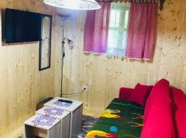 Etno domacinstvo Stankovic apartman br 2