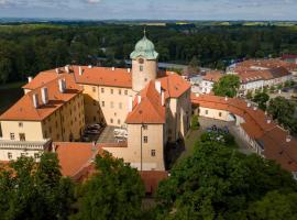 Zámecký penzion，位于波杰布拉迪的住宿加早餐旅馆