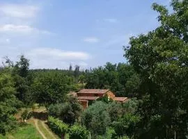 Agua Azul poolside rest a luxurious rural woodland idyll