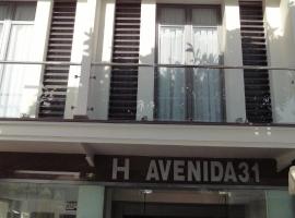阿维尼达31号酒店，位于马贝拉的酒店