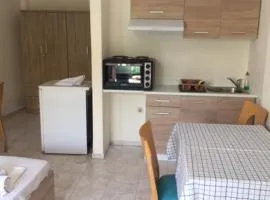 德斯皮纳林坡瑞酒店公寓
