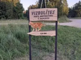 Viesu nams Vizbulītes