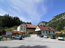 Gasthaus Blunzenwirt，位于Breitenstein的酒店