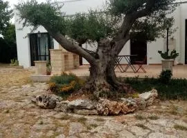 masseria chianca " Le Gravine"