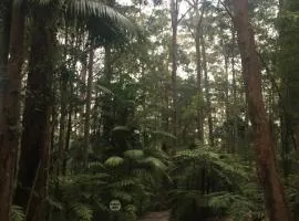 春溪山区小屋旅馆