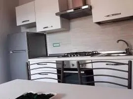 Monolocale Arbus R0478