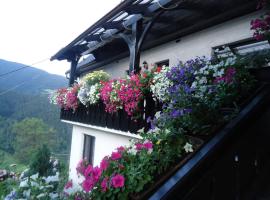Apartma in sobe Tanja，位于Podbrdo的酒店