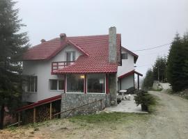 Vila Carla Elena Ranca，位于兰卡的山林小屋