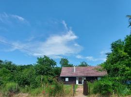 Dada House Nature Holiday，位于Gornja Čemernica的酒店