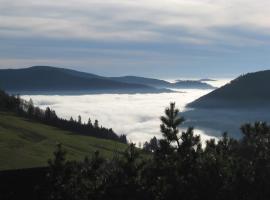 Schöne Aussicht，位于托特瑙巴克滑雪缆车附近的酒店