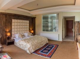Hotel D' Meadows ladakh，位于Drās的酒店